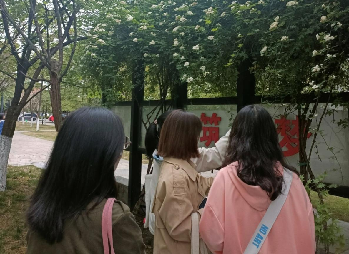意境幽遠的東方式插花？高校學子采花學習